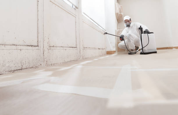 24/7 Emergency Mold Remediation experts in Georgetown, KY